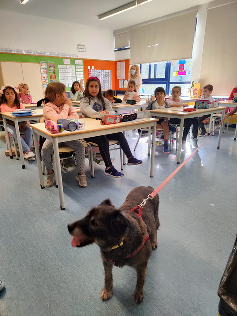 Animais_VM-1