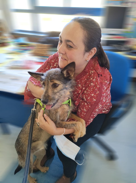 Animais_VM-4
