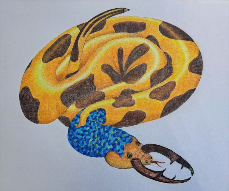 Concurso_SuperEcolapis-6