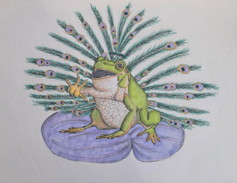 Concurso_SuperEcolapis-7