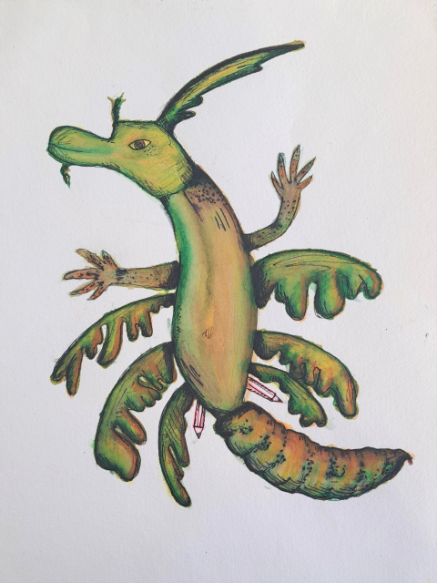 Concurso_SuperEcolapis-8