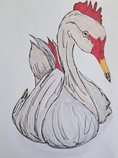 Concurso_SuperEcolapis-9