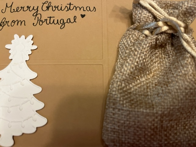 Our digital garden-2