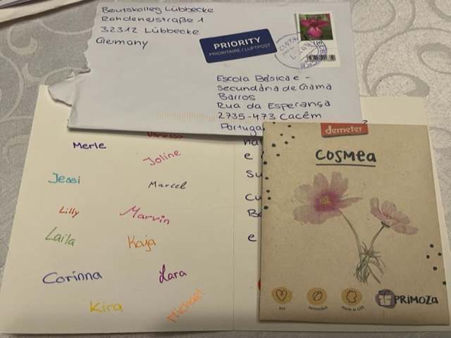 Our digital garden-4