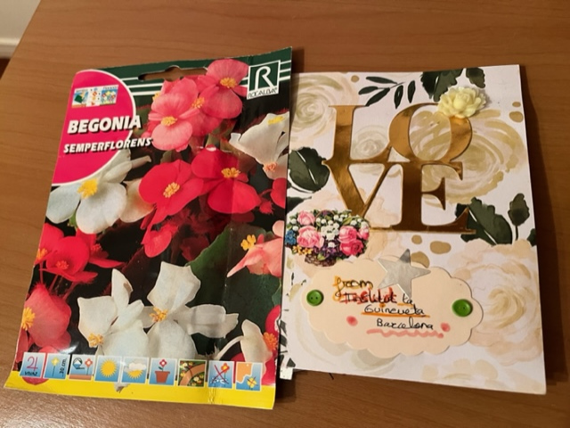 Our digital garden-5