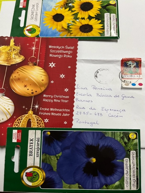 Our digital garden-6