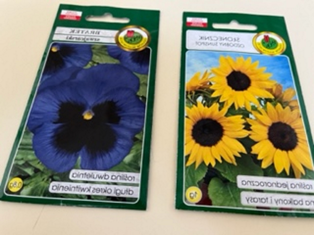 Our digital garden-7