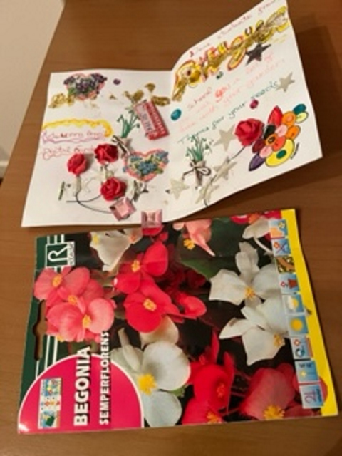 Our digital garden-8