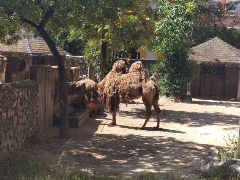 VisitaZoo_GB-1