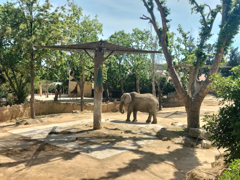 VisitaZoo_GB-2
