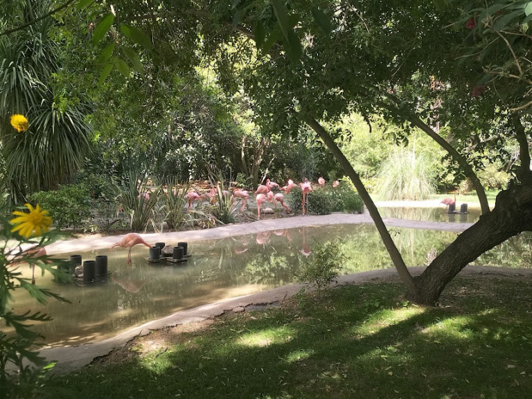 VisitaZoo_GB-3