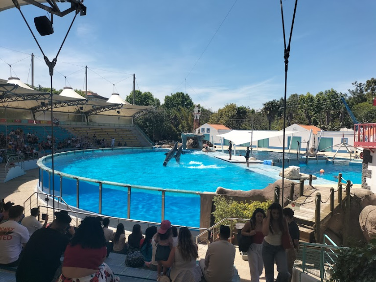 VisitaZoo_GB-5