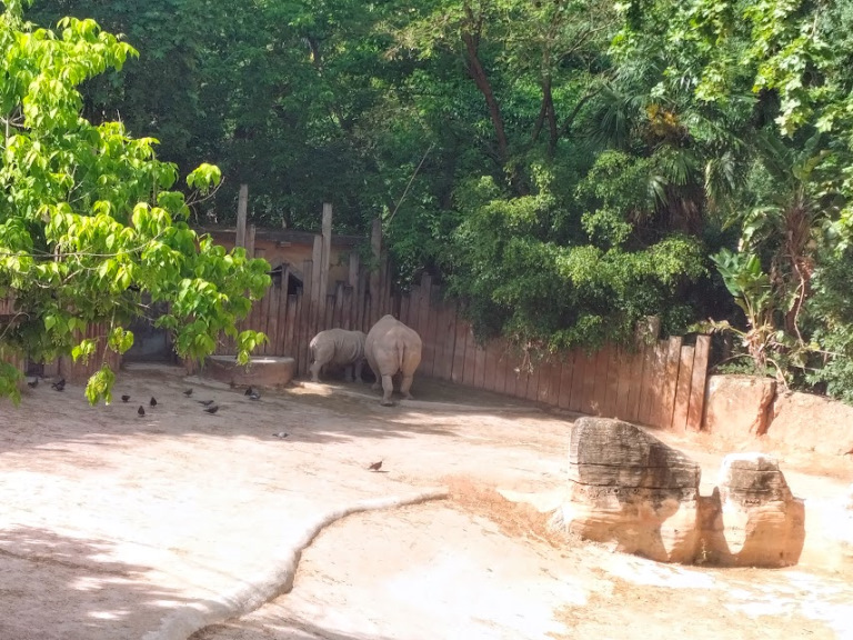VisitaZoo_GB-6