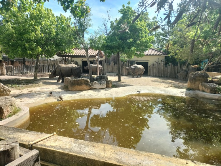 VisitaZoo_GB-7