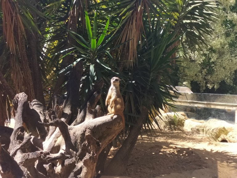 VisitaZoo_GB-8