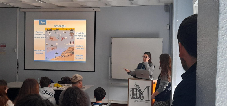 paira_sobre_ondas-11