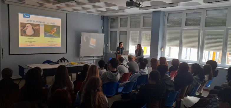 paira_sobre_ondas-13