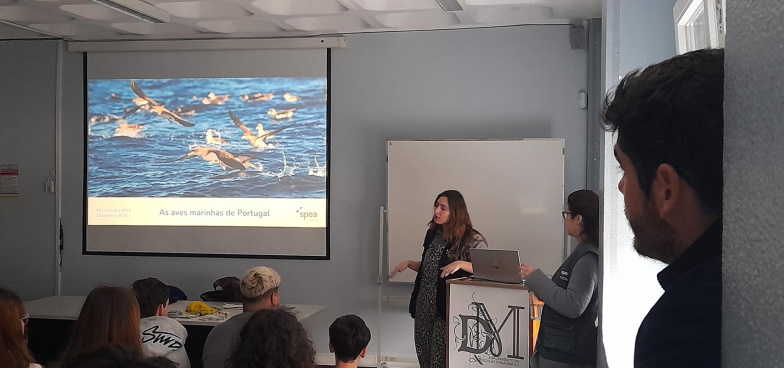 paira_sobre_ondas-14