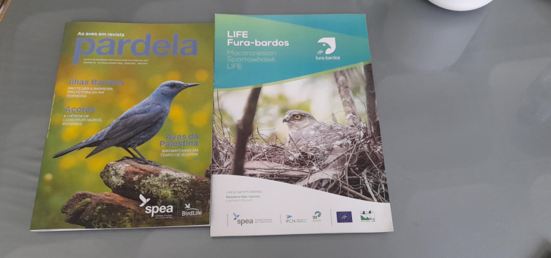 paira_sobre_ondas-1A