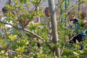 DiaPrimavera_EB1-Dest