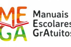 MEGA_Manuais-Dest