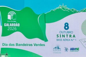 DBandeirasVerdes-Dest