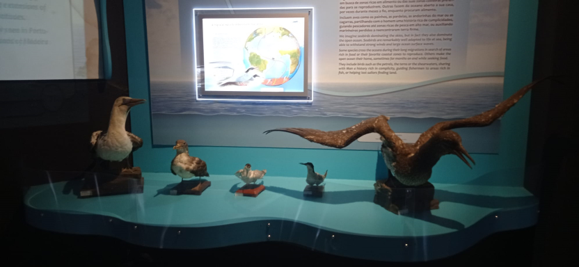 museu mar_EBRC-1