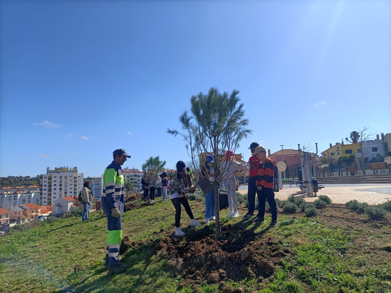 Dia arvore_EBRC-4