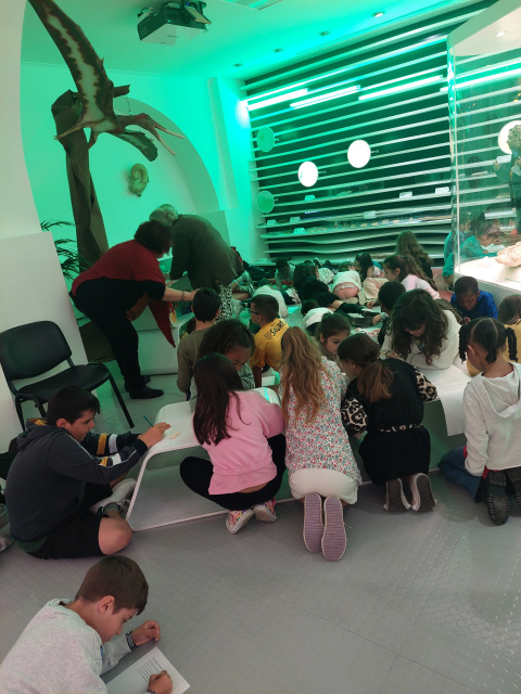 Museu-HNS_RC-2