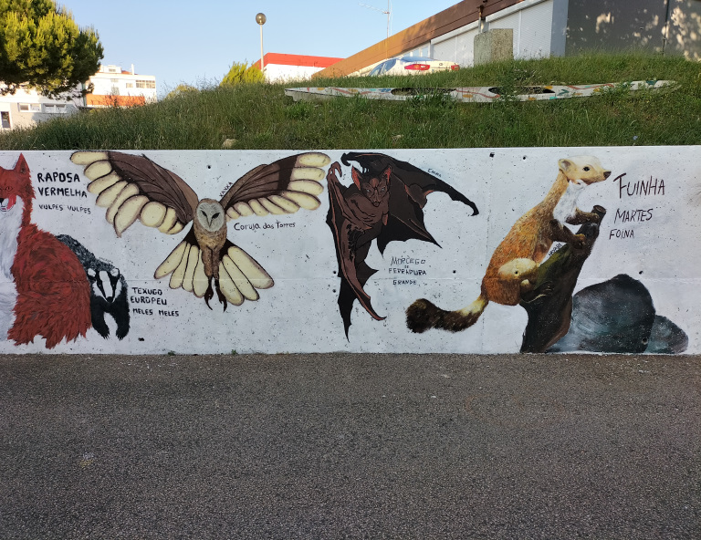 Fauna_Sintra-7
