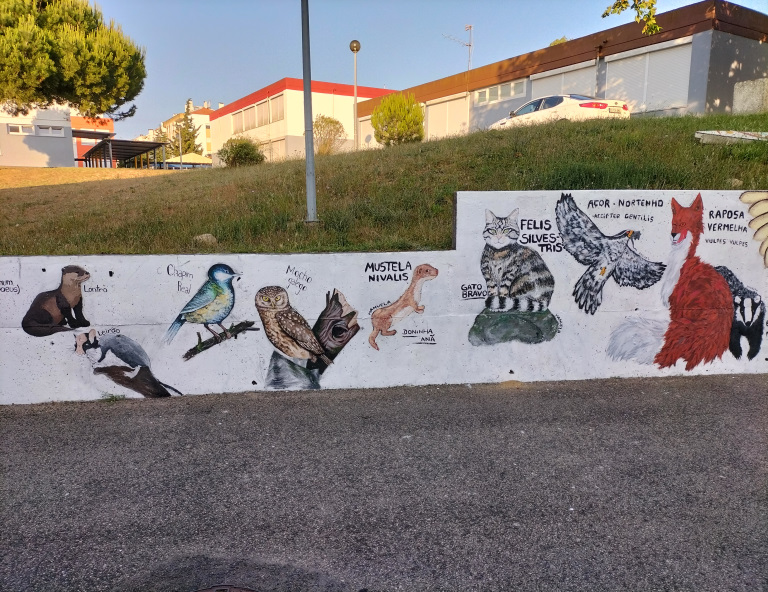 Fauna_Sintra-8