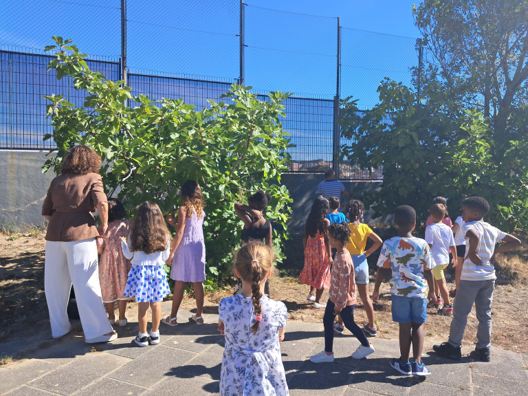 Rec_1ºano_EB1-6