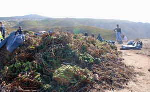 CaboRoca-Dest CaboRoca-Dest