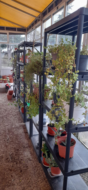 FonteVida-6