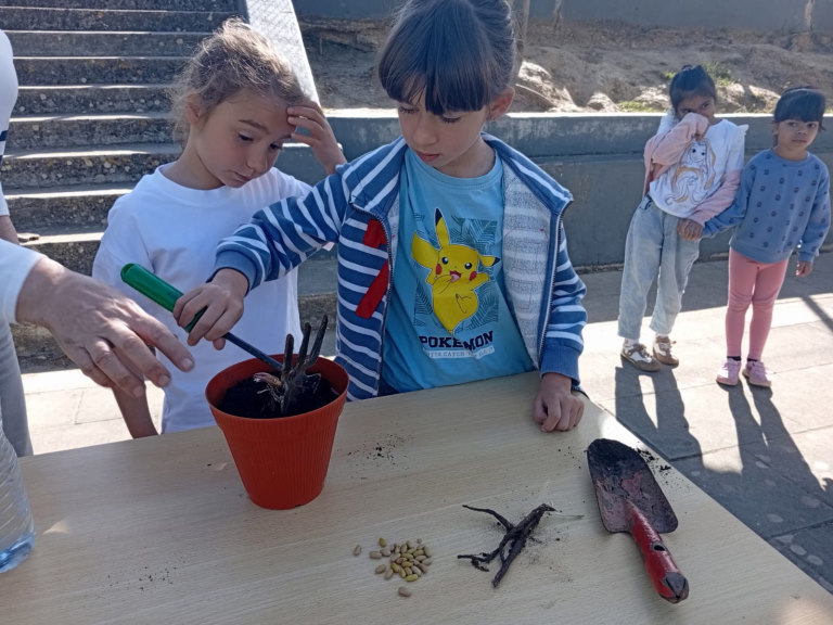 Sementeiras_EB1-7